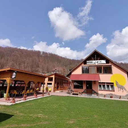 Pensiunea Colt Alb Băile Homorod المظهر الخارجي الصورة