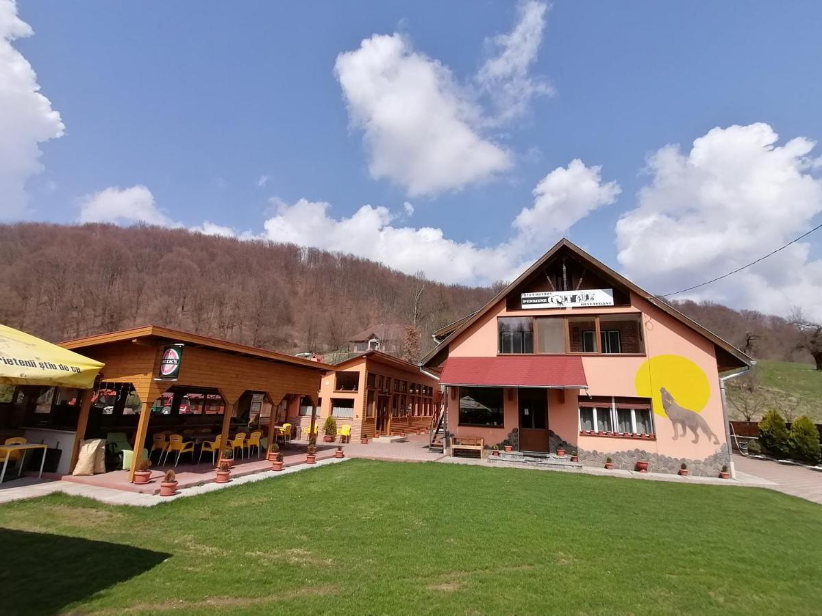 Pensiunea Colt Alb Băile Homorod المظهر الخارجي الصورة