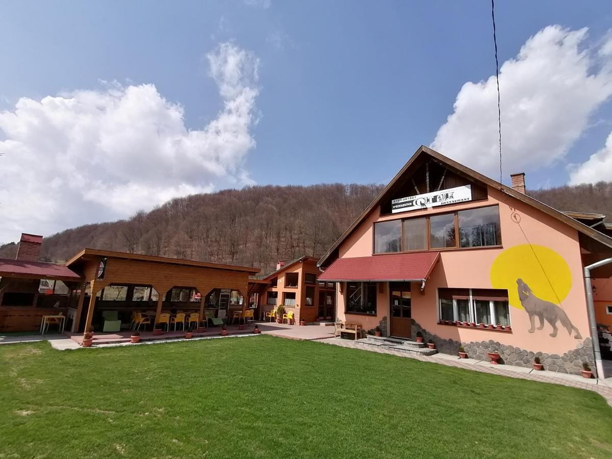 Pensiunea Colt Alb Băile Homorod المظهر الخارجي الصورة