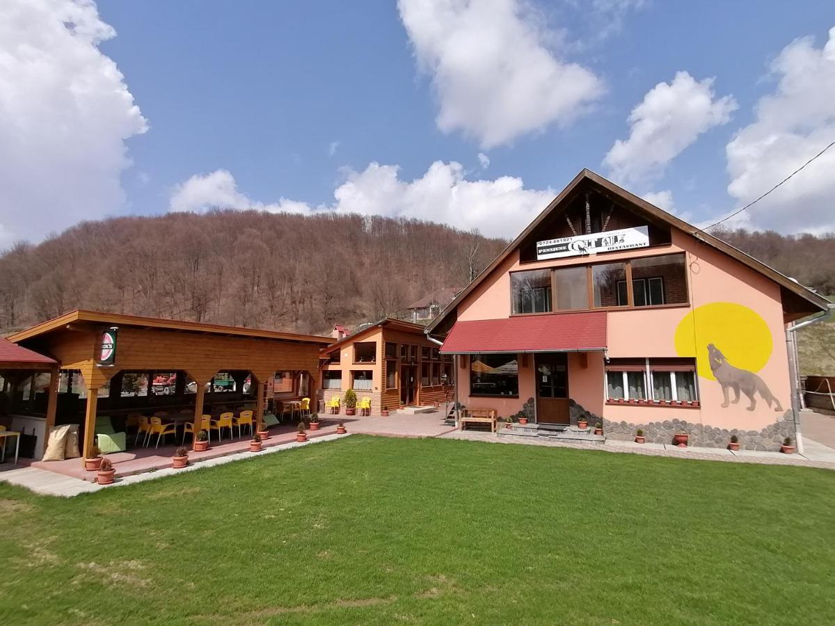 Pensiunea Colt Alb Băile Homorod المظهر الخارجي الصورة