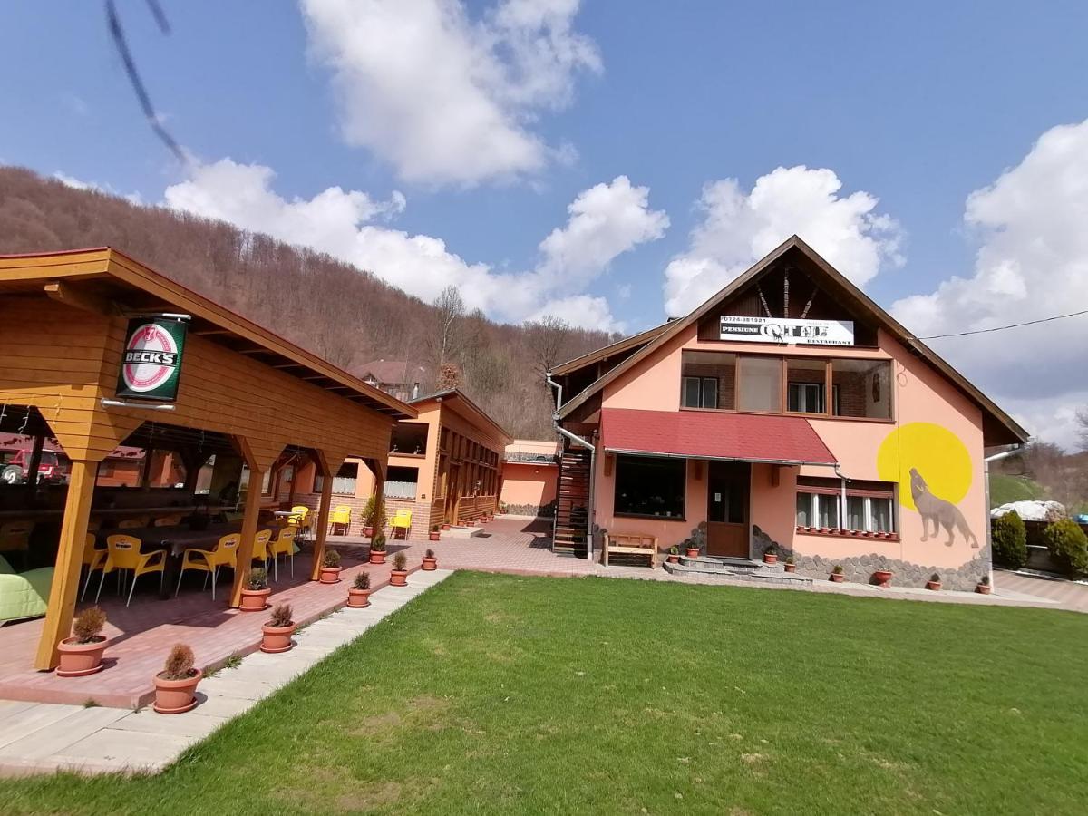 Pensiunea Colt Alb Băile Homorod المظهر الخارجي الصورة