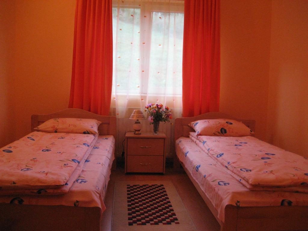 Pensiunea Colt Alb Băile Homorod المظهر الخارجي الصورة