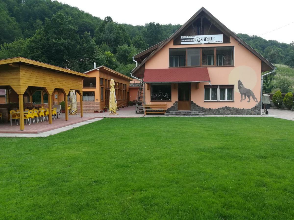 Pensiunea Colt Alb Băile Homorod المظهر الخارجي الصورة